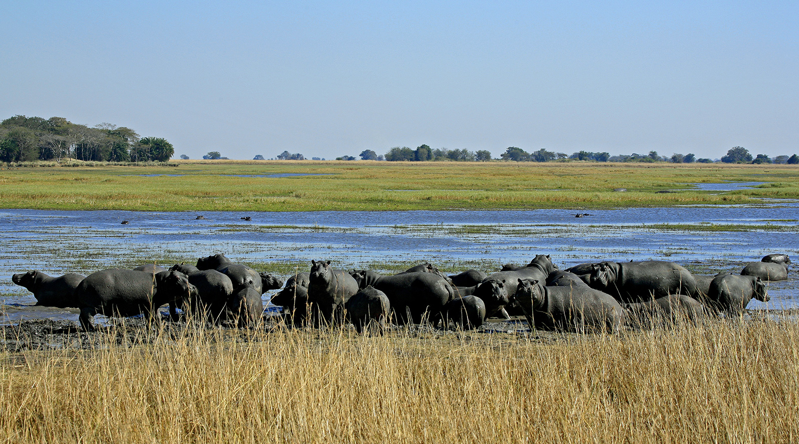 Wild Places Safaris - Zambia