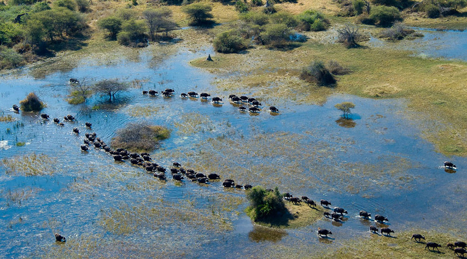 © Wilderness Safaris | Okavango Delta, Botswana